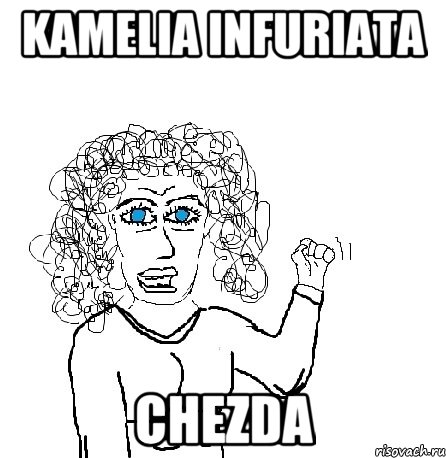 kamelia infuriata chezda, Мем Будь бабой-блеадь