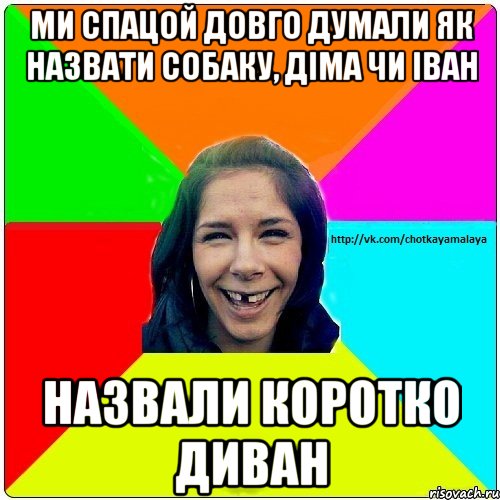 ми спацой довго думали як назвати собаку, Діма чи Іван назвали коротко диван, Мем Чотка мала