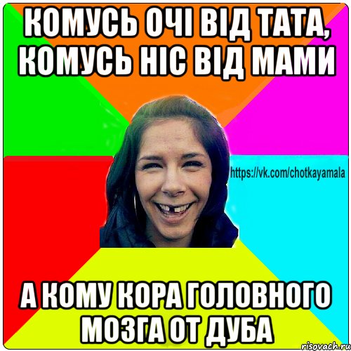 комусь очі від тата, комусь ніс від мами а кому кора головного мозга от дуба, Мем Чотка мала