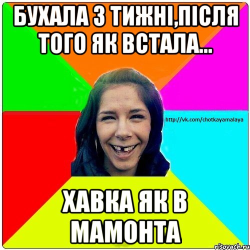 Бухала 3 тижні,після того як встала... Хавка як в мамонта, Мем Чотка мала