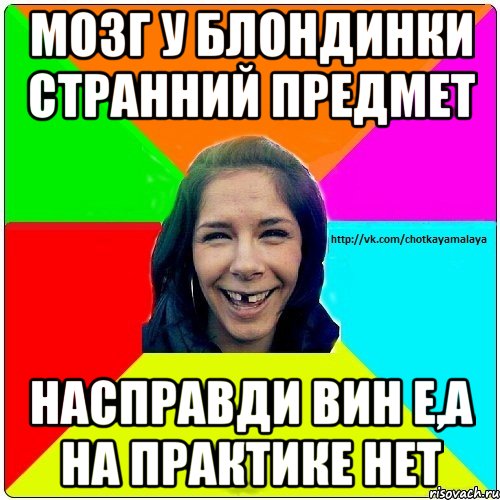 мозг у блондинки странний предмет насправди вин е,а на практике нет, Мем Чотка мала