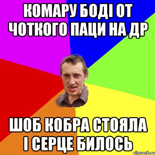 Комару Боді от чоткого паци на ДР шоб кобра стояла і серце билось, Мем Чоткий паца