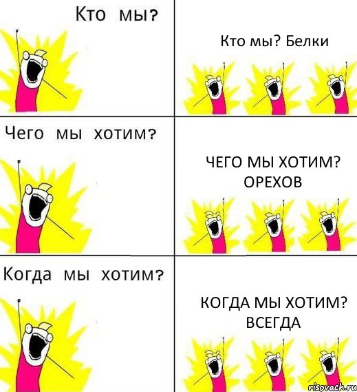 Кто мы? Белки Чего мы хотим? Орехов Когда мы хотим? Всегда, Комикс Что мы хотим