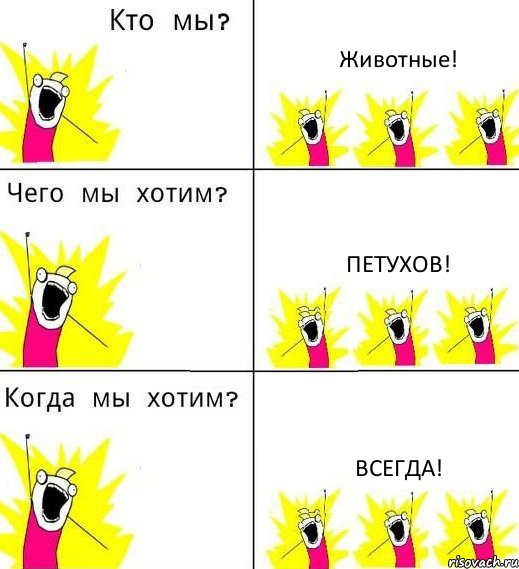 Животные! Петухов! Всегда!, Комикс Что мы хотим