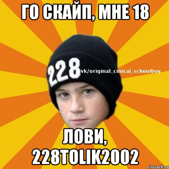 Го скайп, мне 18 Лови, 228Tolik2002, Мем  Циничный школьник