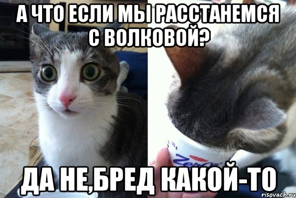 А что если мы расстанемся с Волковой? Да не,бред какой-то, Комикс  Да не бред-какой-то (2 зоны)