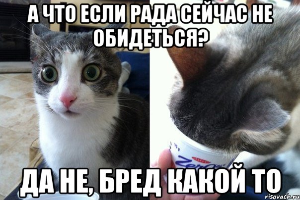 А что если Рада сейчас не обидеться? Да не, бред какой то, Комикс  Да не бред-какой-то (2 зоны)