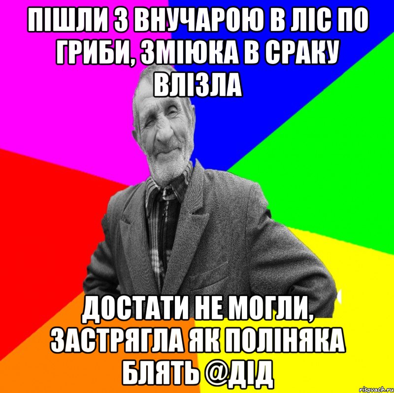 пішли з внучарою в ліс по гриби, зміюка в сраку влізла достати не могли, застрягла як поліняка блять @дід, Мем ДЕД