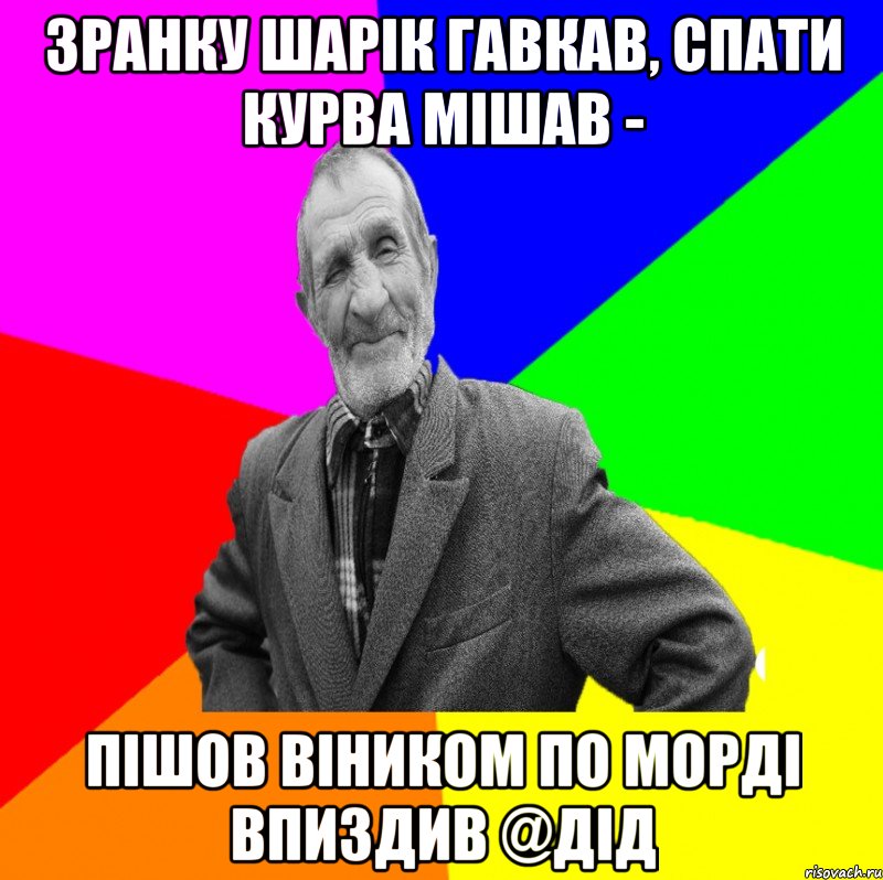 зранку Шарік гавкав, спати курва мішав - пішов віником по морді впиздив @дід, Мем ДЕД