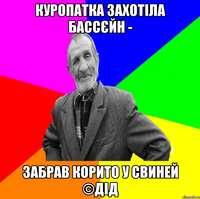 Куропатка захотіла бассєйн - Забрав корито у свиней ©ДІД, Мем ДЕД