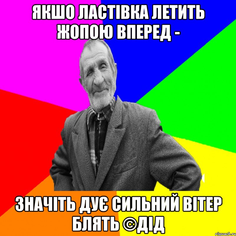 Якшо ластівка летить жопою вперед - Значіть дує сильний вітер блять ©ДІД