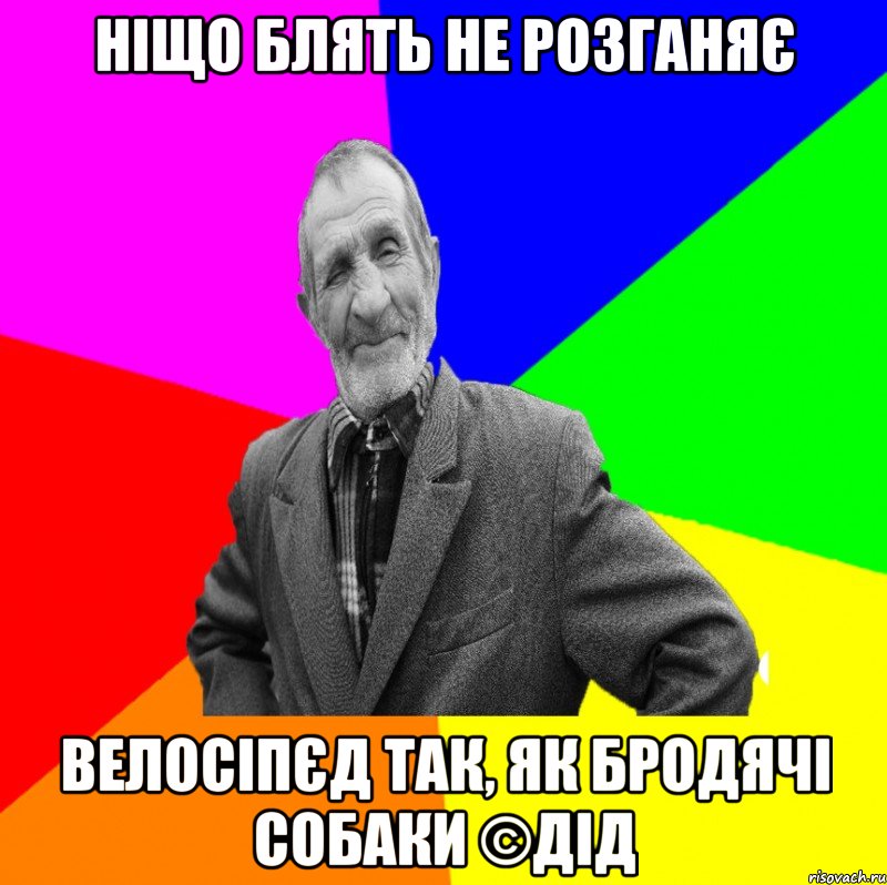 Ніщо блять не розганяє Велосіпєд так, як бродячі собаки ©ДІД, Мем ДЕД