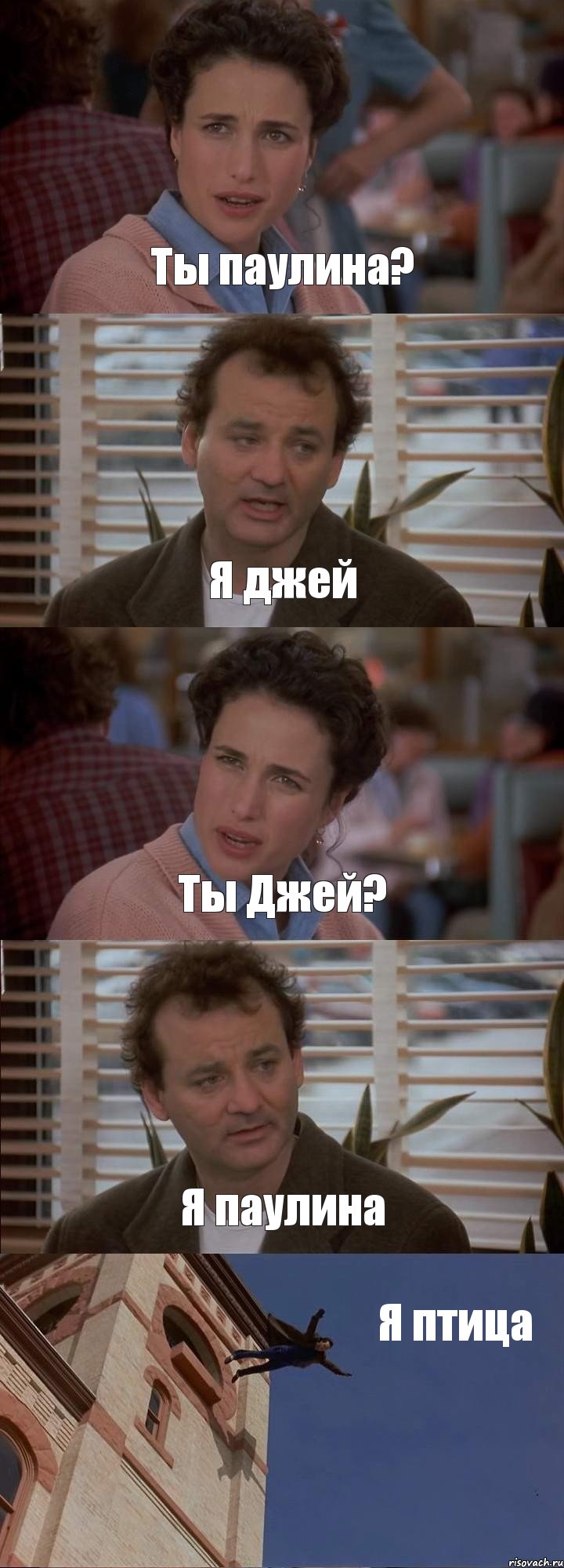 Ты паулина? Я джей Ты Джей? Я паулина Я птица, Комикс День сурка