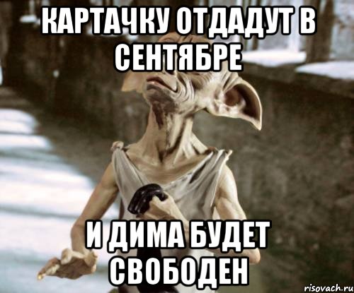 картачку отдадут в сентябре и Дима будет свободен