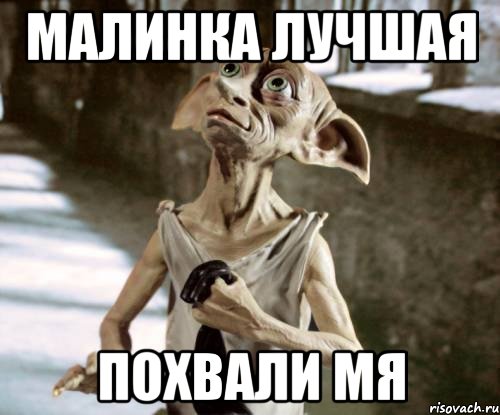 Малинка лучшая похвали мя