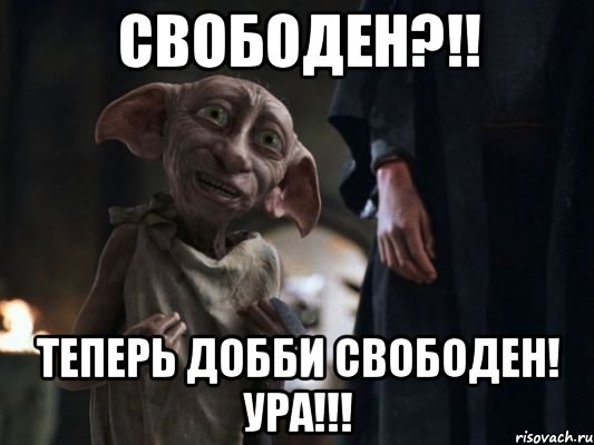 СВОБОДЕН?!! теперь Добби СВОБОДЕН! УРА!!!, Мем   Добби