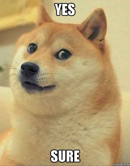 YES SURE, Мем doge woof