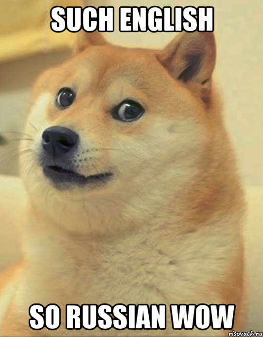 Such english So Russian Wow, Мем doge woof