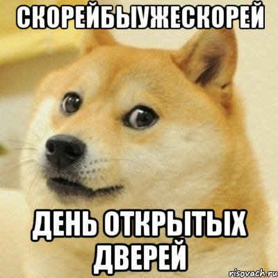 скорейбыужескорей день открытых дверей, Мем doge woof