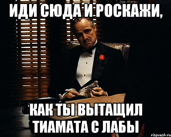 Иди сюда и роскажи, Как ты вытащил тиамата с лабы, Мем Дон Вито Корлеоне