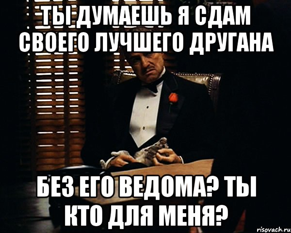 ты думаешь я сдам своего лучшего другана без его ведома? ты кто для меня?, Мем Дон Вито Корлеоне