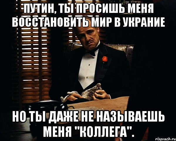 Путин, ты просишь меня восстановить мир В Украние но ты даже не называешь меня "коллега"., Мем Дон Вито Корлеоне