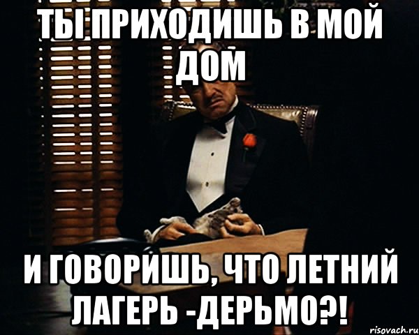 ты приходишь в мой дом и говоришь, что летний лагерь -дерьмо?!, Мем Дон Вито Корлеоне