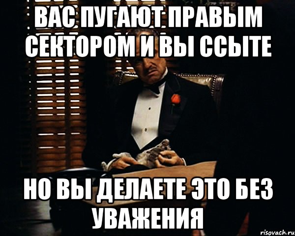 вас пугают правым сектором и вы ссыте но вы делаете это без уважения, Мем Дон Вито Корлеоне