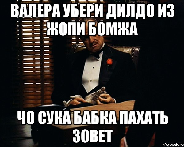 валера убери дилдо из жопи бомжа ЧО сука бабка пахать зовет, Мем Дон Вито Корлеоне