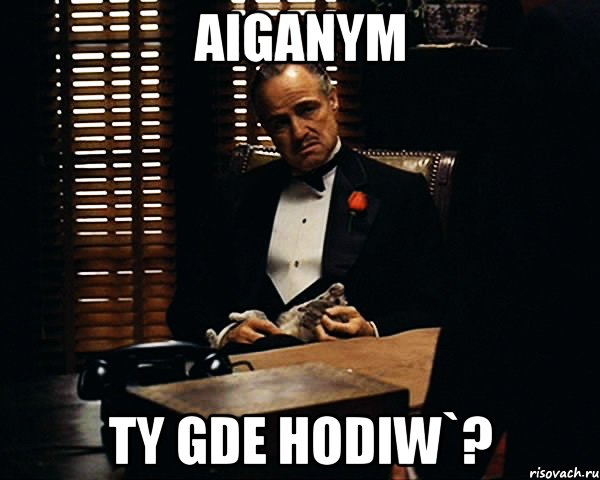 Aiganym ty gde hodiw`?, Мем Дон Вито Корлеоне