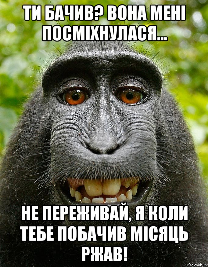 Ти бачив? Вона мені посміхнулася... Не переживай, я коли тебе побачив місяць ржав!, Мем  Довольная обезьяна