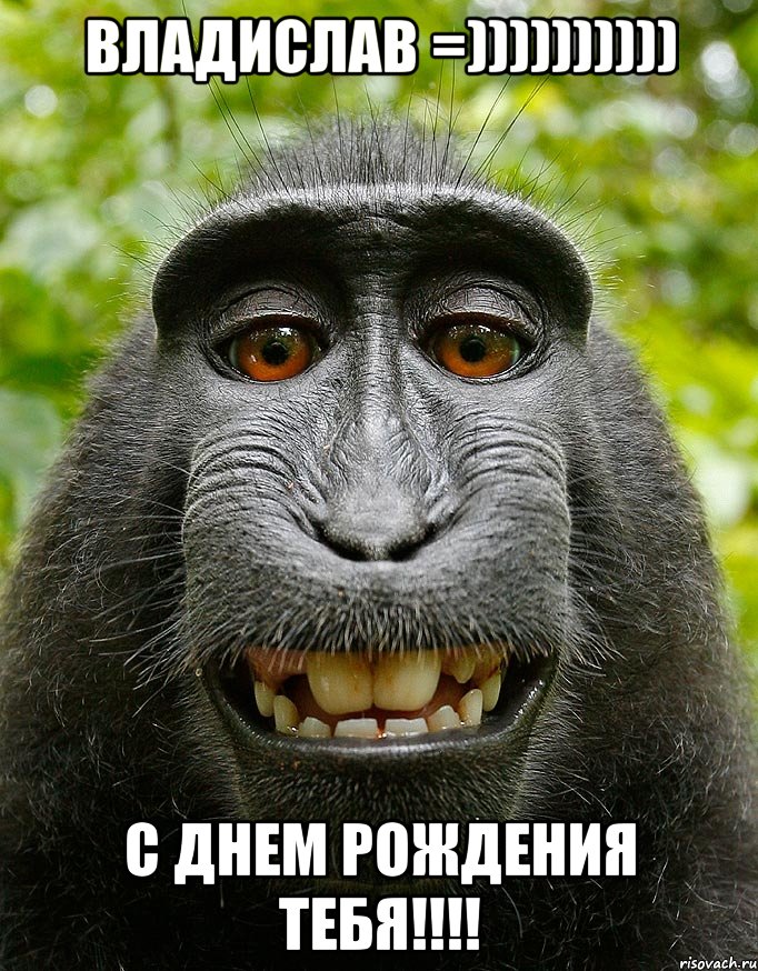 Владислав =)))))))))) С днем рождения тебя!!!!, Мем  Довольная обезьяна