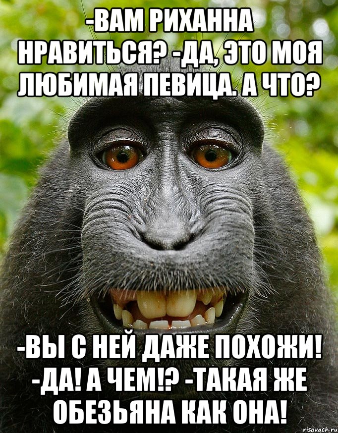 -Вам Риханна нравиться? -Да, это моя любимая певица. А что? -Вы с ней даже похожи! -Да! А чем!? -Такая же обезьяна как она!, Мем  Довольная обезьяна