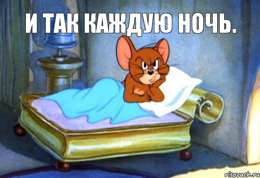 И так каждую ночь.