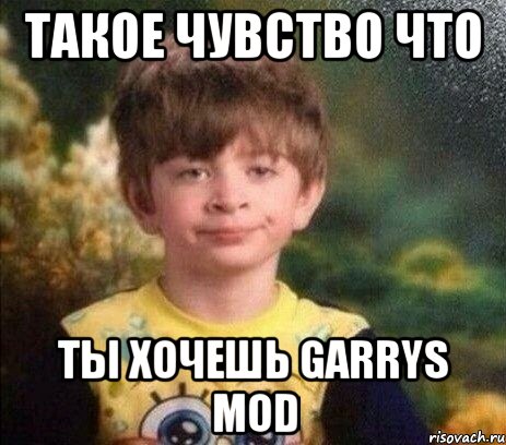 такое чувство что ты хочешь garrys mod