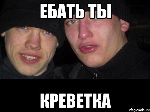 ЕБАТЬ ТЫ КРЕВЕТКА