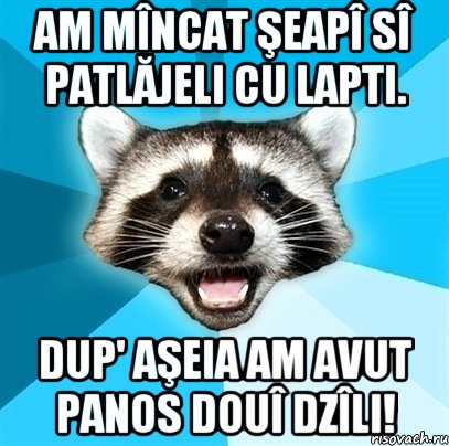 Am mîncat şeapî sî patlăjeli cu lapti. Dup' aşeia am avut panos douî dzîli!, Мем Енот-Каламбурист