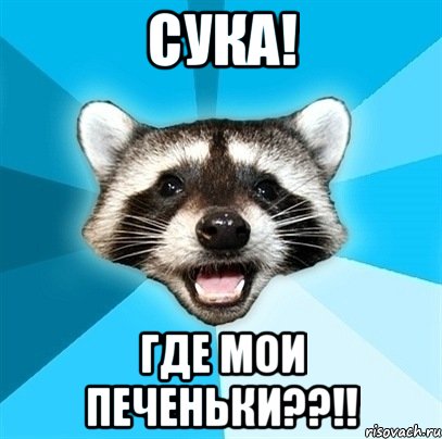 СУКА! ГДЕ МОИ ПЕЧЕНЬКИ??!!, Мем Енот-Каламбурист