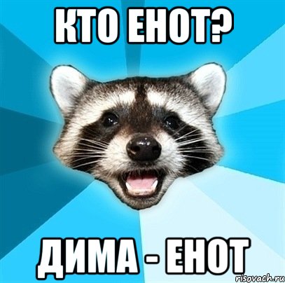 Кто енот? дима - енот, Мем Енот-Каламбурист