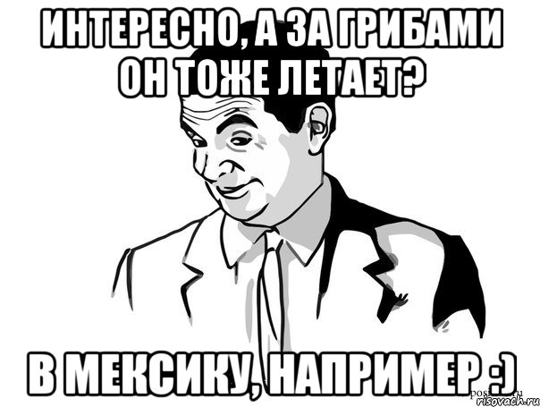 Интересно, а за грибами он тоже летает? в Мексику, например :)