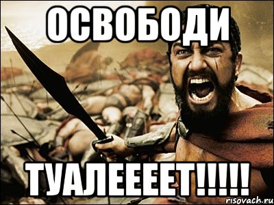 Освободи Туалеееет!!!!!, Мем Это Спарта