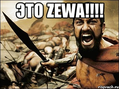 Это ZEWA!!!! , Мем Это Спарта