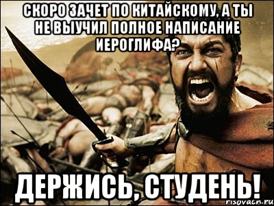 скоро зачет по китайскому, а ты не выучил полное написание иероглифа? Держись, студень!, Мем Это Спарта