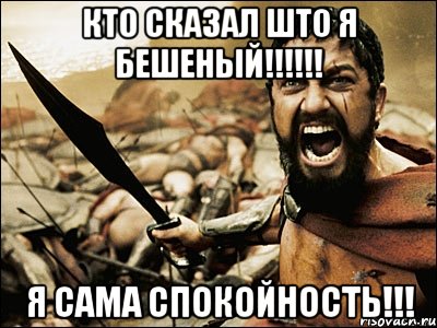 Кто сказал што я бешеный!!!!!! Я сама спокойность!!!, Мем Это Спарта