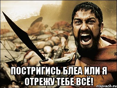  ПОСТРИГИСЬ БЛЕА ИЛИ Я ОТРЕЖУ ТЕБЕ ВСЁ!, Мем Это Спарта