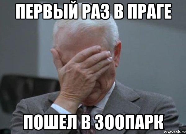 первый раз в праге пошел в зоопарк, Мем facepalm