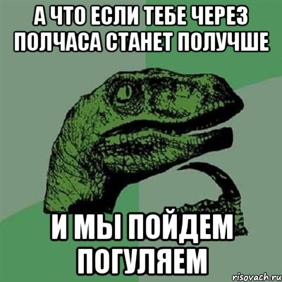 А что если тебе через полчаса станет получше И МЫ ПОЙДЕМ ПОГУЛЯЕМ, Мем Филосораптор