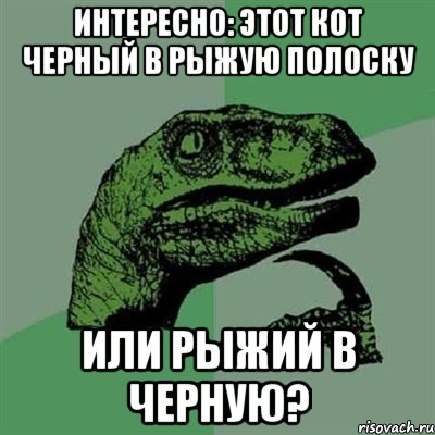 Интересно: этот кот черный в рыжую полоску или рыжий в черную?, Мем Филосораптор