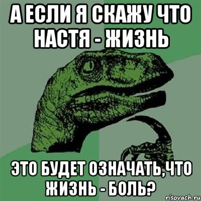 А если я скажу что Настя - жизнь Это будет означать,что жизнь - боль?, Мем Филосораптор