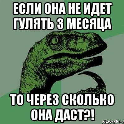 Если она не идет гулять 3 месяца то через сколько она даст?!, Мем Филосораптор